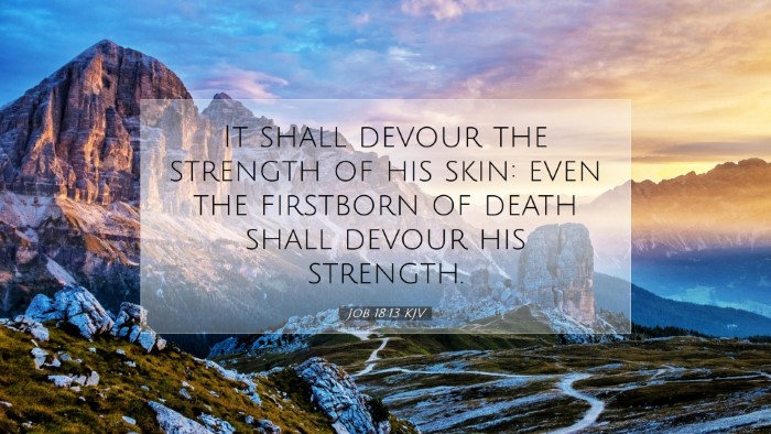 Picture 07 - Job 18:13 KJV Desktop Wallpaper - It shall devour the strength of his skin: even - Desktop Bible Verse Wallpaper