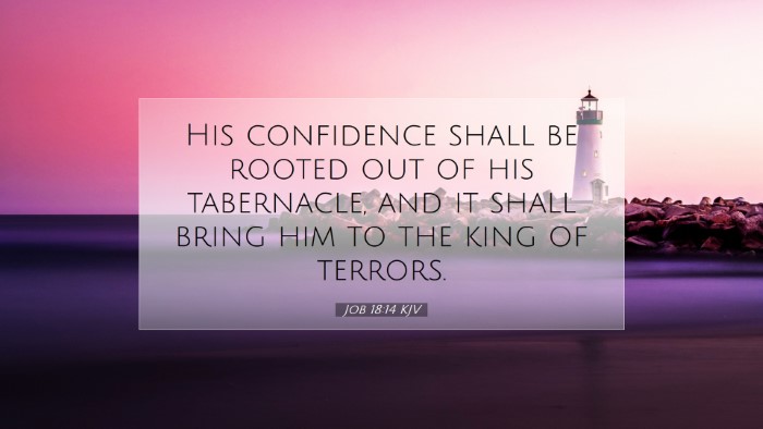 Picture 07 - Job 18:14 KJV Desktop Wallpaper - His confidence shall be rooted out of his - Desktop Bible Verse Wallpaper