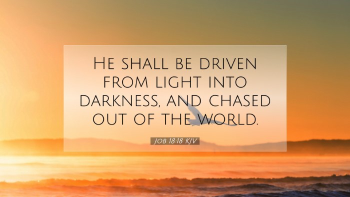 Picture 07 - Job 18:18 KJV Desktop Wallpaper - He shall be driven from light into darkness, and - Desktop Bible Verse Wallpaper