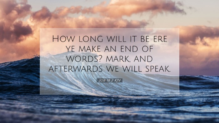 Picture 07 - Job 18:2 KJV Desktop Wallpaper - How long will it be ere ye make an end of words? - Desktop Bible Verse Wallpaper