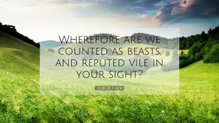Picture 07 - Job 18:3 KJV Desktop Wallpaper - Wherefore are we counted as beasts, and reputed - Desktop Bible Verse Wallpaper