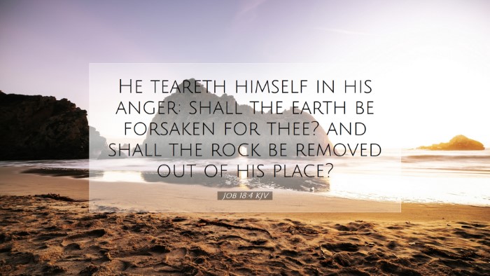 Picture 07 - Job 18:4 KJV Desktop Wallpaper - He teareth himself in his anger: shall the earth - Desktop Bible Verse Wallpaper