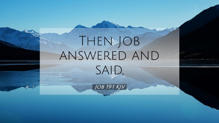Picture 07 - Job 19:1 KJV Desktop Wallpaper - Then Job answered and - Desktop Bible Verse Wallpaper