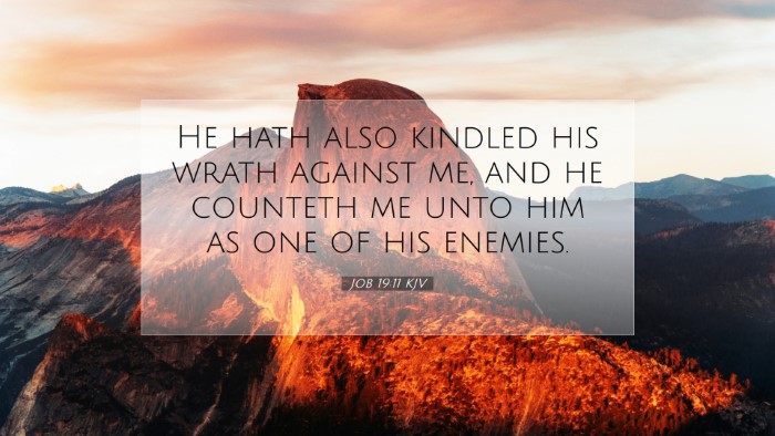 Picture 07 - Job 19:11 KJV Desktop Wallpaper - He hath also kindled his wrath against me, and he - Desktop Bible Verse Wallpaper