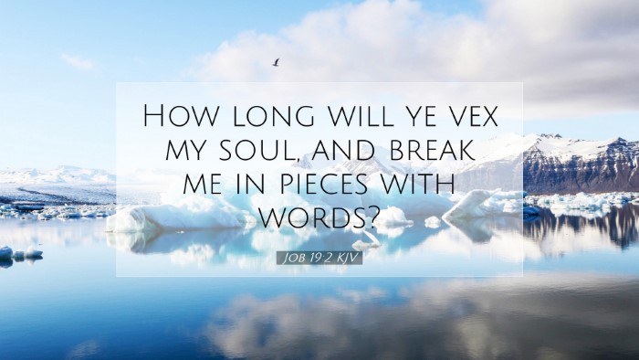 Picture 07 - Job 19:2 KJV Desktop Wallpaper - How long will ye vex my soul, and break me in - Desktop Bible Verse Wallpaper