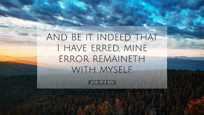 Picture 07 - Job 19:4 KJV Desktop Wallpaper - And be it indeed that I have erred, mine error - Desktop Bible Verse Wallpaper