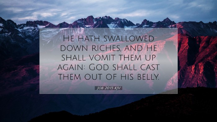 Picture 07 - Job 20:15 KJV Desktop Wallpaper - He hath swallowed down riches, and he shall vomit - Desktop Bible Verse Wallpaper
