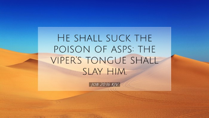 Picture 07 - Job 20:16 KJV Desktop Wallpaper - He shall suck the poison of asps: the viper's - Desktop Bible Verse Wallpaper