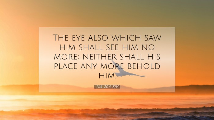Picture 07 - Job 20:9 KJV Desktop Wallpaper - The eye also which saw him shall see him no more; - Desktop Bible Verse Wallpaper