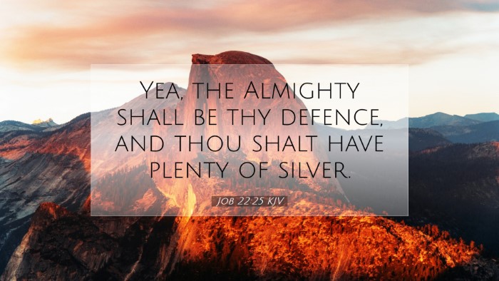 Picture 07 - Job 22:25 KJV Desktop Wallpaper - Yea, the Almighty shall be thy defence, and thou - Desktop Bible Verse Wallpaper