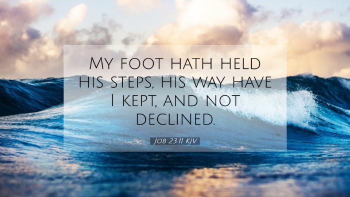 Picture 07 - Job 23:11 KJV Desktop Wallpaper - My foot hath held his steps, his way have I kept, - Desktop Bible Verse Wallpaper