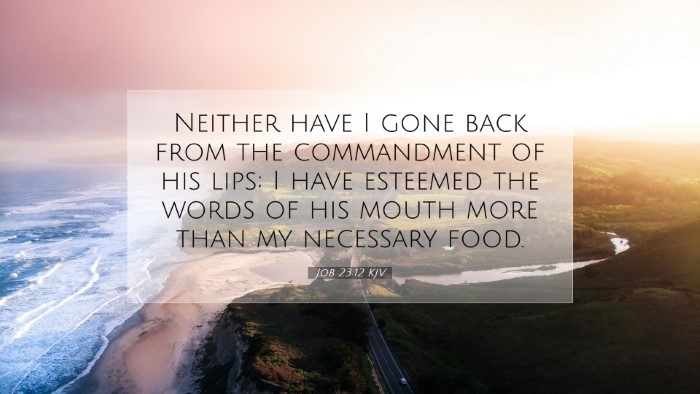 Picture 07 - Job 23:12 KJV Desktop Wallpaper - Neither have I gone back from the commandment of - Desktop Bible Verse Wallpaper
