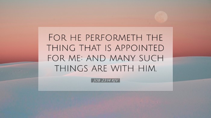Picture 07 - Job 23:14 KJV Desktop Wallpaper - For he performeth the thing that is appointed for - Desktop Bible Verse Wallpaper