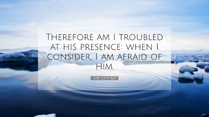 Picture 07 - Job 23:15 KJV Desktop Wallpaper - Therefore am I troubled at his presence: when I - Desktop Bible Verse Wallpaper