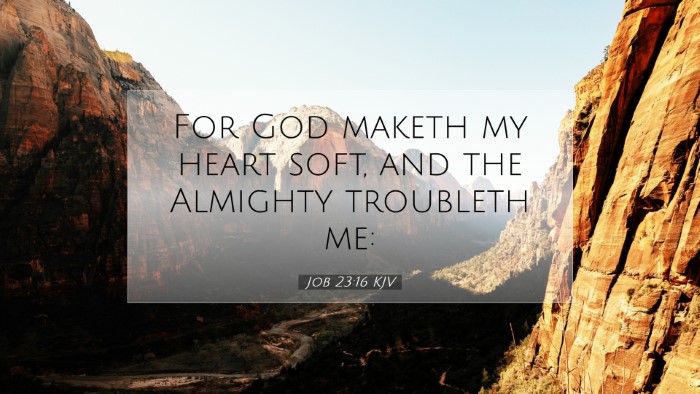 Picture 07 - Job 23:16 KJV Desktop Wallpaper - For God maketh my heart soft, and the Almighty - Desktop Bible Verse Wallpaper