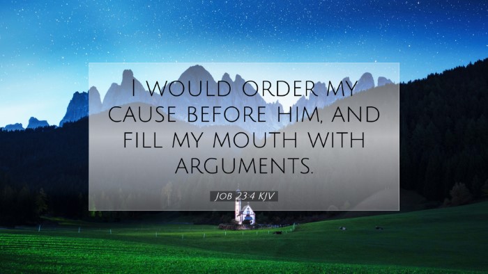 Picture 07 - Job 23:4 KJV Desktop Wallpaper - I would order my cause before him, and fill my - Desktop Bible Verse Wallpaper