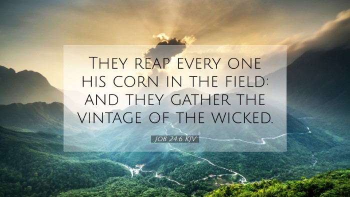Picture 07 - Job 24:6 KJV Desktop Wallpaper - They reap every one his corn in the field: and - Desktop Bible Verse Wallpaper