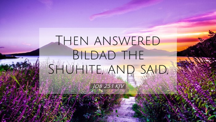 Picture 07 - Job 25:1 KJV Desktop Wallpaper - Then answered Bildad the Shuhite, and - Desktop Bible Verse Wallpaper