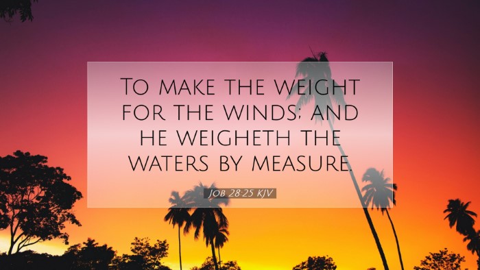 Picture 07 - Job 28:25 KJV Desktop Wallpaper - To make the weight for the winds; and he weigheth - Desktop Bible Verse Wallpaper