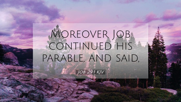 Picture 07 - Job 29:1 KJV Desktop Wallpaper - Moreover Job continued his parable, and - Desktop Bible Verse Wallpaper