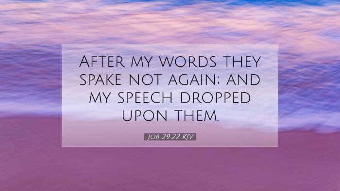 Picture 07 - Job 29:22 KJV Desktop Wallpaper - After my words they spake not again; and my - Desktop Bible Verse Wallpaper