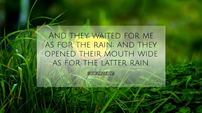Picture 07 - Job 29:23 KJV Desktop Wallpaper - And they waited for me as for the rain; and they - Desktop Bible Verse Wallpaper