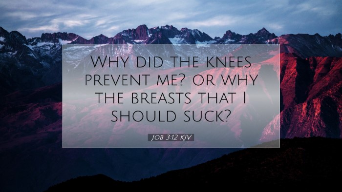 Picture 07 - Job 3:12 KJV Desktop Wallpaper - Why did the knees prevent me? or why the breasts - Desktop Bible Verse Wallpaper