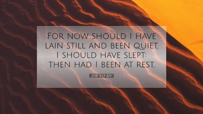 Picture 07 - Job 3:13 KJV Desktop Wallpaper - For now should I have lain still and been quiet, - Desktop Bible Verse Wallpaper