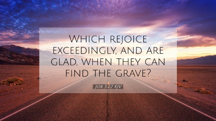 Picture 07 - Job 3:22 KJV Desktop Wallpaper - Which rejoice exceedingly, and are glad, when - Desktop Bible Verse Wallpaper