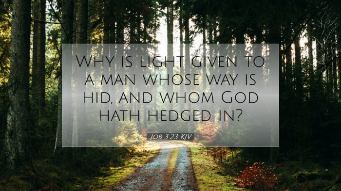Picture 07 - Job 3:23 KJV Desktop Wallpaper - Why is light given to a man whose way is hid, and - Desktop Bible Verse Wallpaper