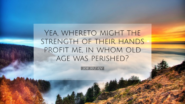 Picture 07 - Job 30:2 KJV Desktop Wallpaper - Yea, whereto might the strength of their hands - Desktop Bible Verse Wallpaper
