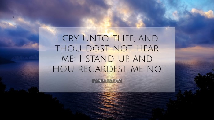 Picture 07 - Job 30:20 KJV Desktop Wallpaper - I cry unto thee, and thou dost not hear me: I - Desktop Bible Verse Wallpaper