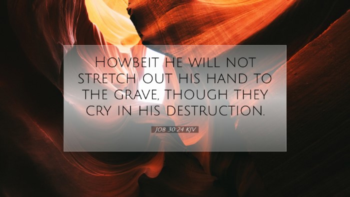 Picture 07 - Job 30:24 KJV Desktop Wallpaper - Howbeit he will not stretch out his hand to the - Desktop Bible Verse Wallpaper
