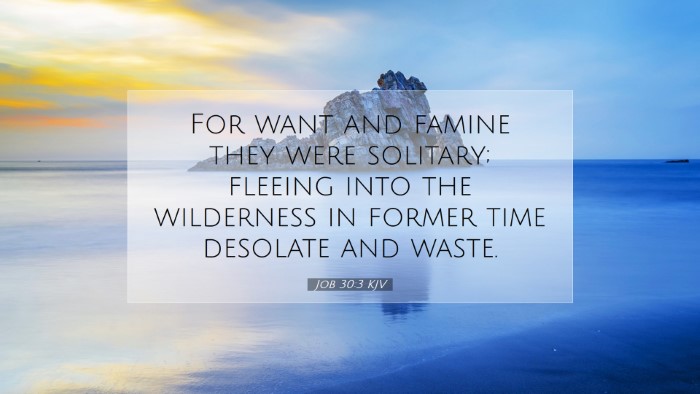 Picture 07 - Job 30:3 KJV Desktop Wallpaper - For want and famine they were solitary; fleeing - Desktop Bible Verse Wallpaper