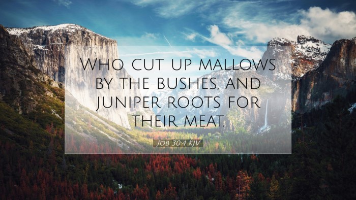 Picture 07 - Job 30:4 KJV Desktop Wallpaper - Who cut up mallows by the bushes, and juniper - Desktop Bible Verse Wallpaper
