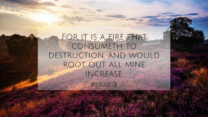 Picture 07 - Job 31:12 KJV Desktop Wallpaper - For it is a fire that consumeth to destruction, - Desktop Bible Verse Wallpaper