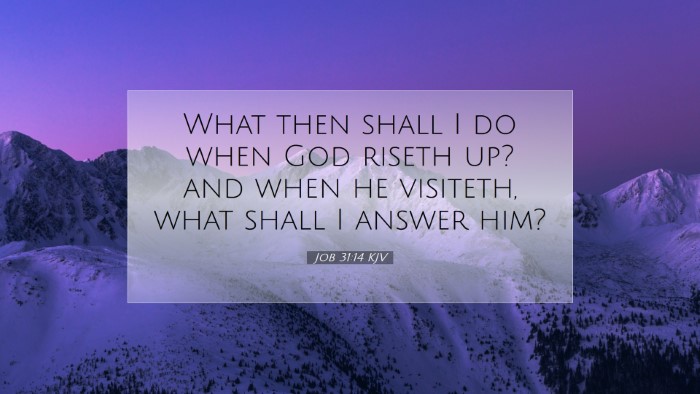 Picture 07 - Job 31:14 KJV Desktop Wallpaper - What then shall I do when God riseth up? and when - Desktop Bible Verse Wallpaper