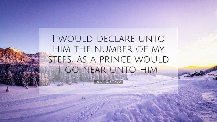 Picture 07 - Job 31:37 KJV Desktop Wallpaper - I would declare unto him the number of my steps; - Desktop Bible Verse Wallpaper