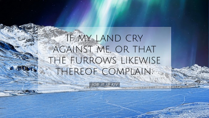 Picture 07 - Job 31:38 KJV Desktop Wallpaper - If my land cry against me, or that the furrows - Desktop Bible Verse Wallpaper