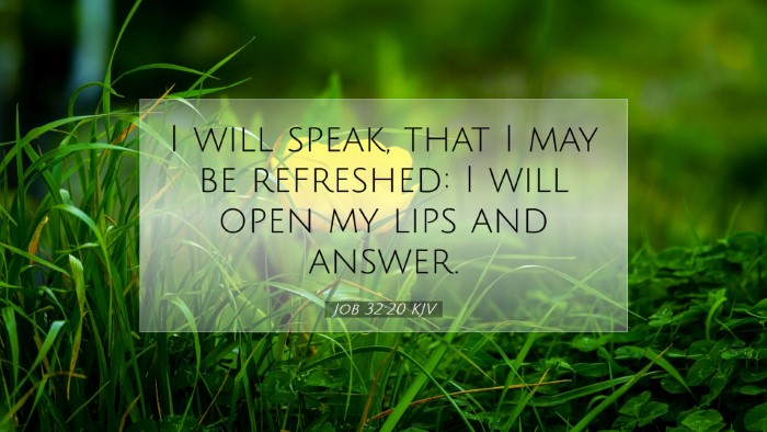 Picture 07 - Job 32:20 KJV Desktop Wallpaper - I will speak, that I may be refreshed: I will - Desktop Bible Verse Wallpaper