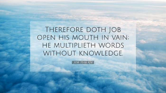 Picture 07 - Job 35:16 KJV Desktop Wallpaper - Therefore doth Job open his mouth in vain; he - Desktop Bible Verse Wallpaper