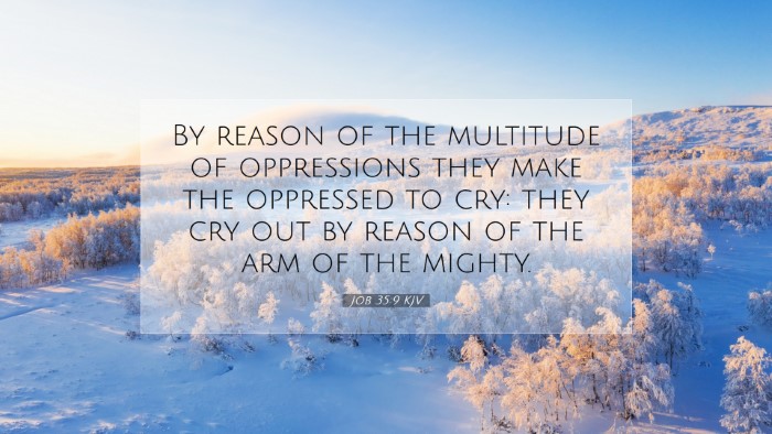 Picture 07 - Job 35:9 KJV Desktop Wallpaper - By reason of the multitude of oppressions they - Desktop Bible Verse Wallpaper