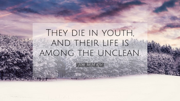 Picture 07 - Job 36:14 KJV Desktop Wallpaper - They die in youth, and their life is among the - Desktop Bible Verse Wallpaper
