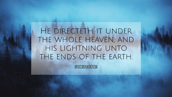 Picture 07 - Job 37:3 KJV Desktop Wallpaper - He directeth it under the whole heaven, and his - Desktop Bible Verse Wallpaper
