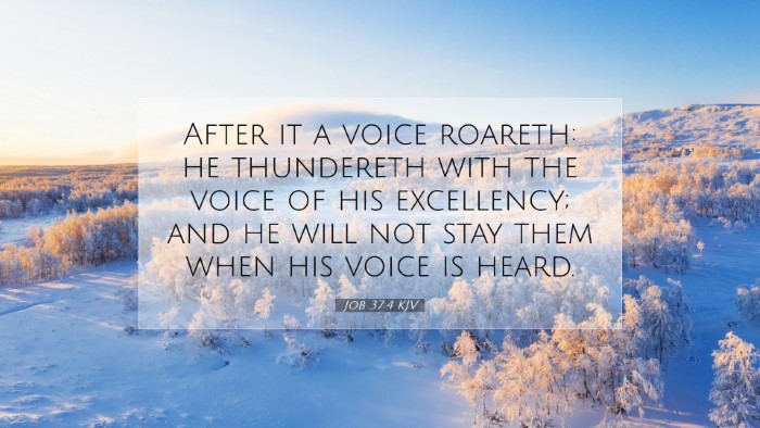 Picture 07 - Job 37:4 KJV Desktop Wallpaper - After it a voice roareth: he thundereth with the - Desktop Bible Verse Wallpaper