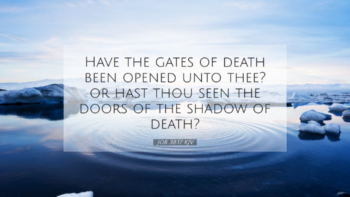 Picture 07 - Job 38:17 KJV Desktop Wallpaper - Have the gates of death been opened unto thee? or - Desktop Bible Verse Wallpaper