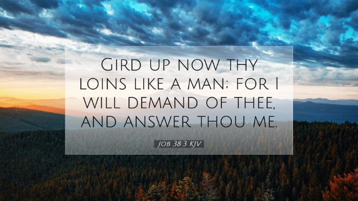 Picture 07 - Job 38:3 KJV Desktop Wallpaper - Gird up now thy loins like a man; for I will - Desktop Bible Verse Wallpaper