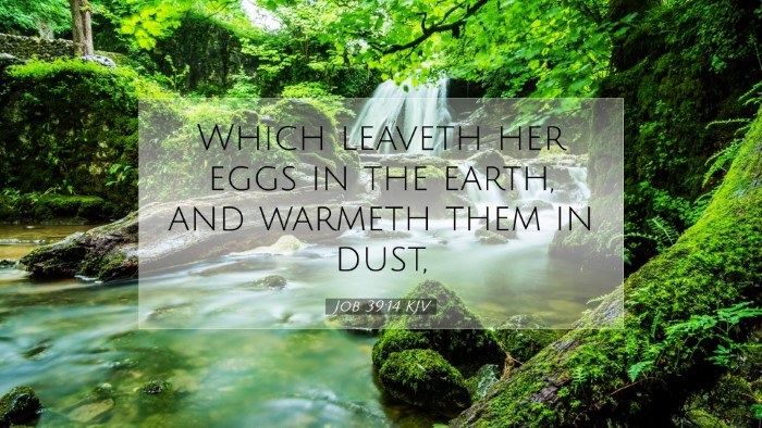 Picture 07 - Job 39:14 KJV Desktop Wallpaper - Which leaveth her eggs in the earth, and warmeth - Desktop Bible Verse Wallpaper