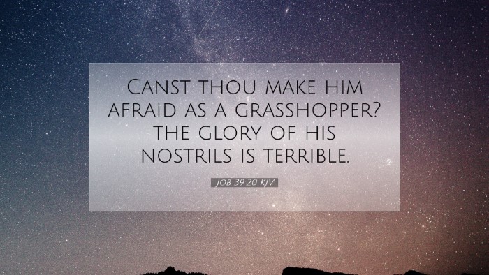 Picture 07 - Job 39:20 KJV Desktop Wallpaper - Canst thou make him afraid as a grasshopper? the - Desktop Bible Verse Wallpaper