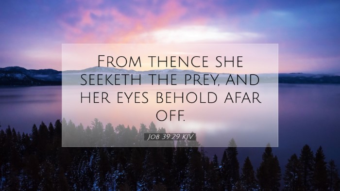 Picture 07 - Job 39:29 KJV Desktop Wallpaper - From thence she seeketh the prey, and her eyes - Desktop Bible Verse Wallpaper